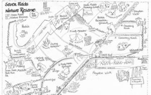 Artist impression of Seven Fields Nature Reserve in the style of hand drawn black and white map