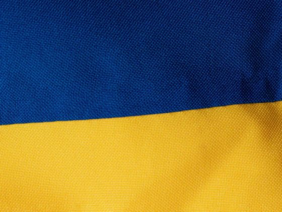 Ukraine Flags