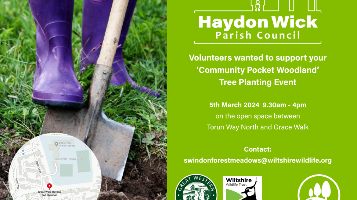 Tree Planting Event - Grace Walk, Haydon End. 5th March 9.30am-4pm