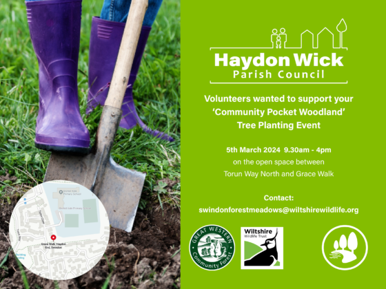 Tree Planting Event - Grace Walk, Haydon End. 5th March 9.30am-4pm